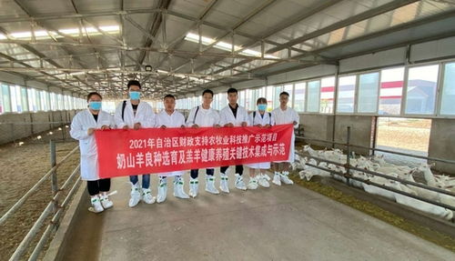 内蒙古农牧业科学院依托 农牧业科技推广示范项目 助力奶山羊产业发展